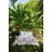 Postcard King Flat Sheet-107886205