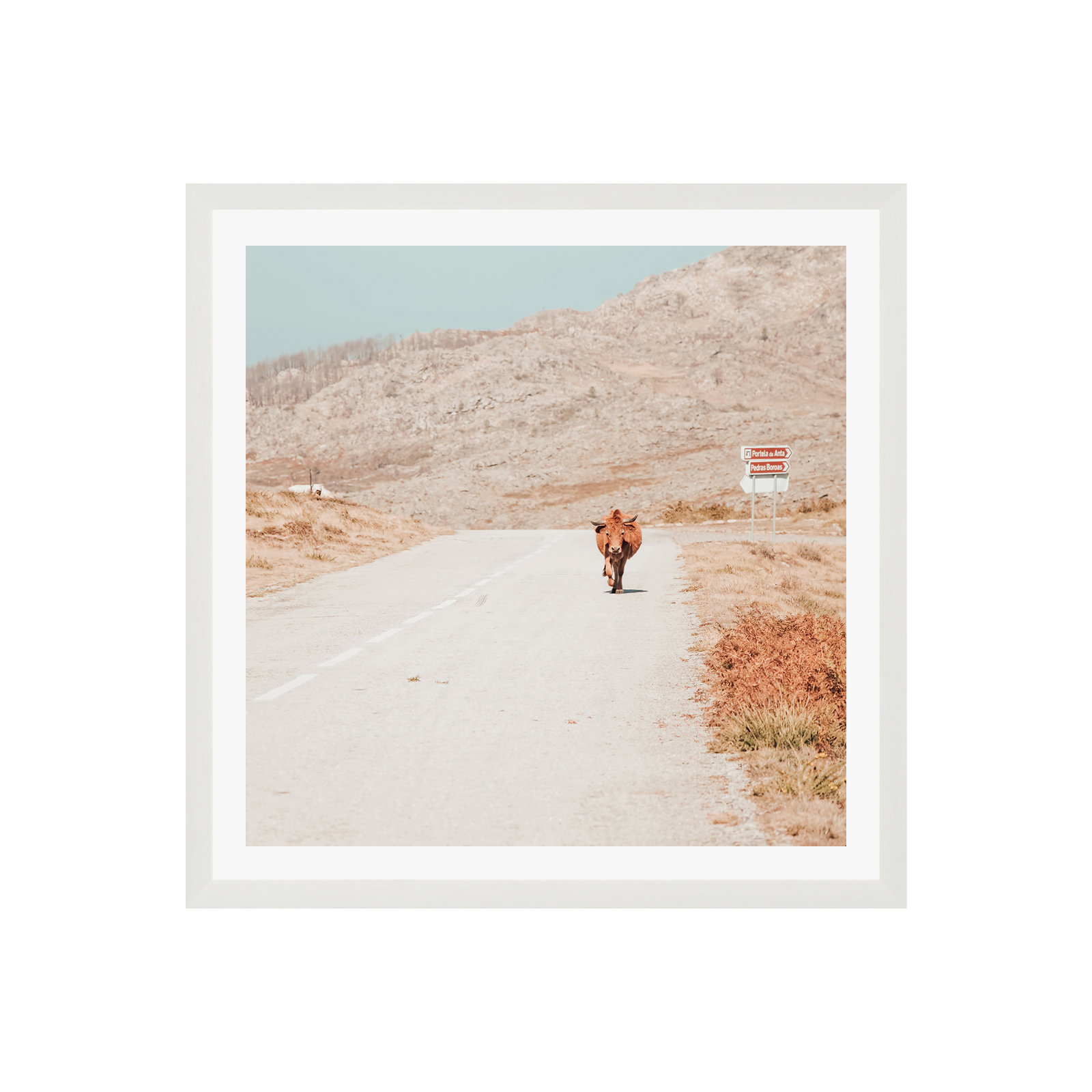 On The Road I by Ingrid Beddoes, Yes, White Single Picture Framed, 30" H x 30" W x 0.75" D