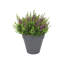 Pot Planter-37904908-37904907