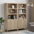 Marliee 70.9'' H Bohemian - Inspired Rattan Bookcase with Storage Cabinet and Adjustable Shelves-102716424-122534210