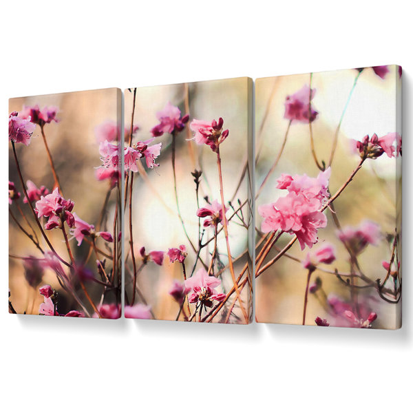 Ebern Designs Spring Teasers - 3 Piece Wrapped Canvas Print | Wayfair.co.uk