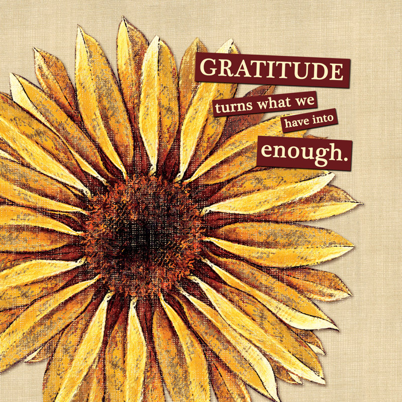 Gratitude Sunflower - Wrapped Canvas Painting, 51cm H x 51cm W x 3.8cm D