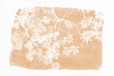 Wrapped Canvas Print, 60.96 cm H x 91.44 cm W