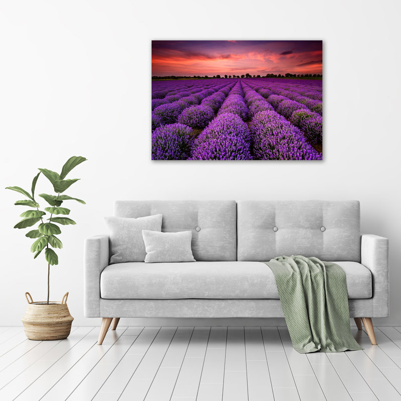 Lavender Fields Landscape - Wrapped Canvas Print, 70 cm H x 100 cm W, Glass
