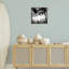 «Sunlit Palm Silhouettes» par Susan Bryant-246149306-246149307
