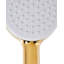 Shower Head and Hose Kit AYPATE-772178393