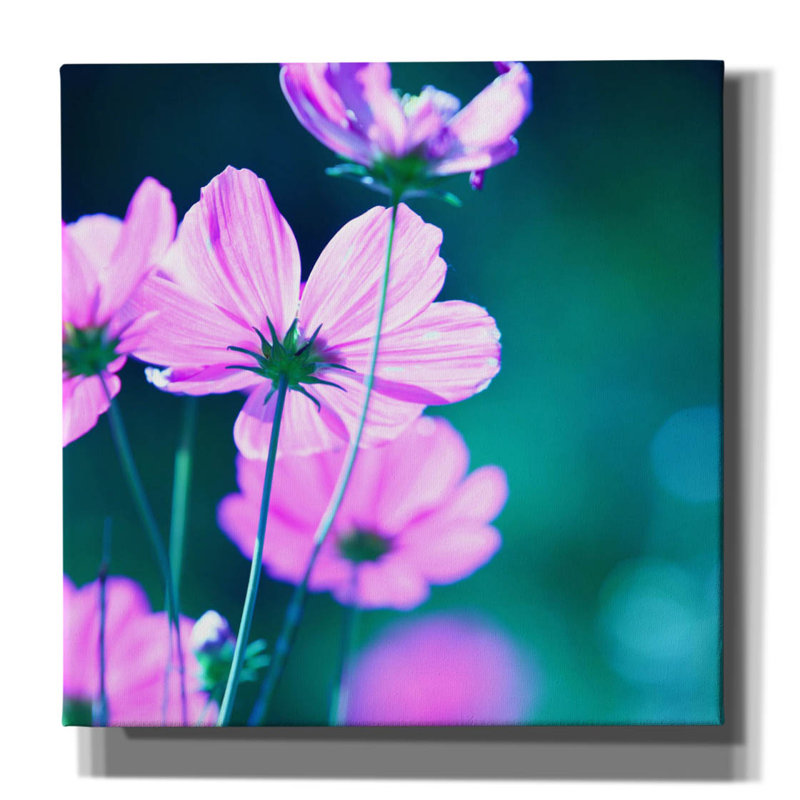 "Fleurs roses 2" par PhotoINC Studio, H 12 po x l 12 po x P 0,75 po