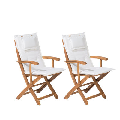 Maren Folding Patio Dining Armchair with Cushion