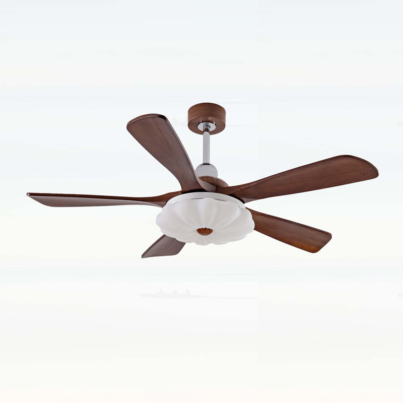 Ceiling Fan