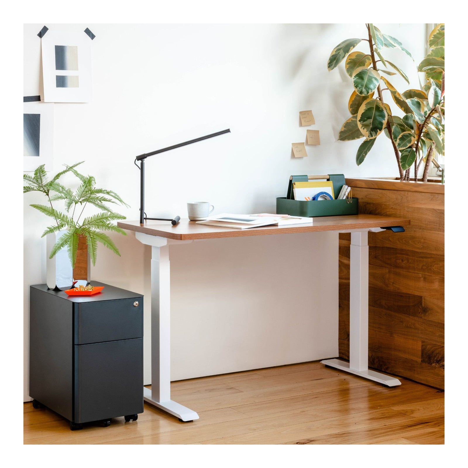 Duo Standing Desk, Charcoal, 47.3" H x 58" W x 27" D, Walnut