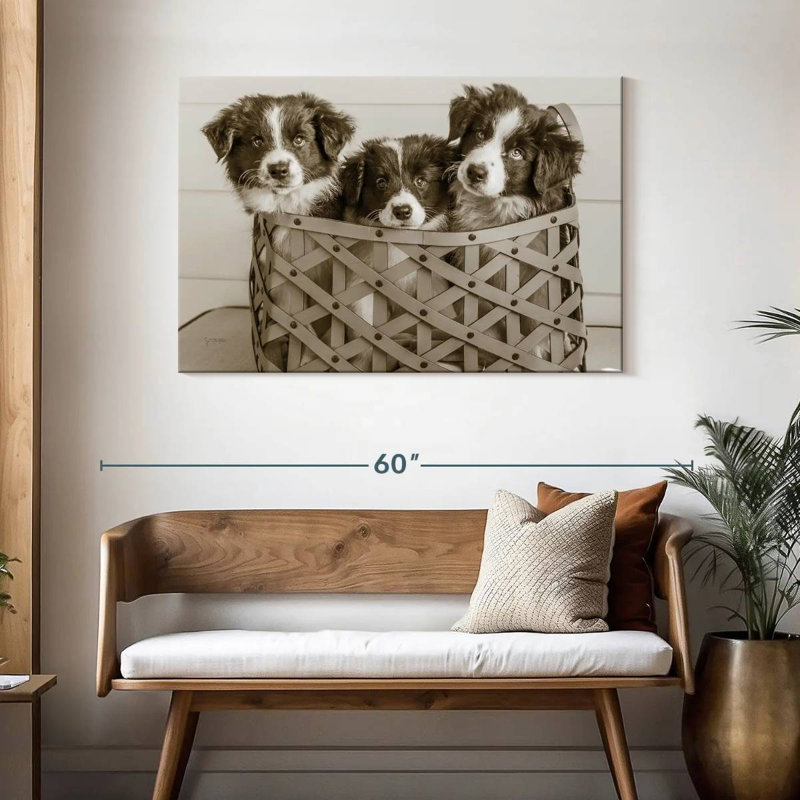 Brampt What A Cute Bundle, 30" H x 45" W