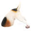 Animals Figurines & Sculptures