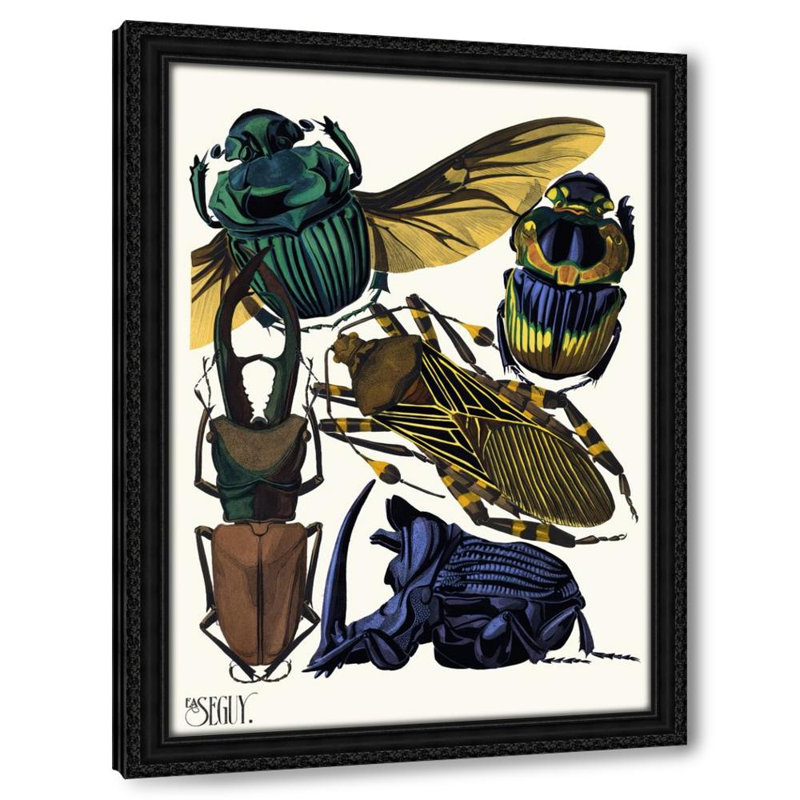 Insectes Pl.07 (1929), 32" H x 24" W