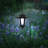 Sartell Lantern Head