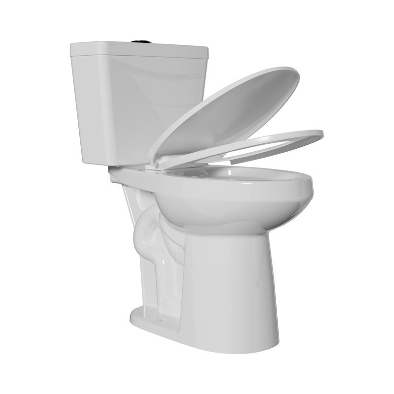 21" Extra Tall Toilet for Seniors, Elongated High Toilet 1.0/1.28 GPF Tornado Dual Flush, MAP 1000g