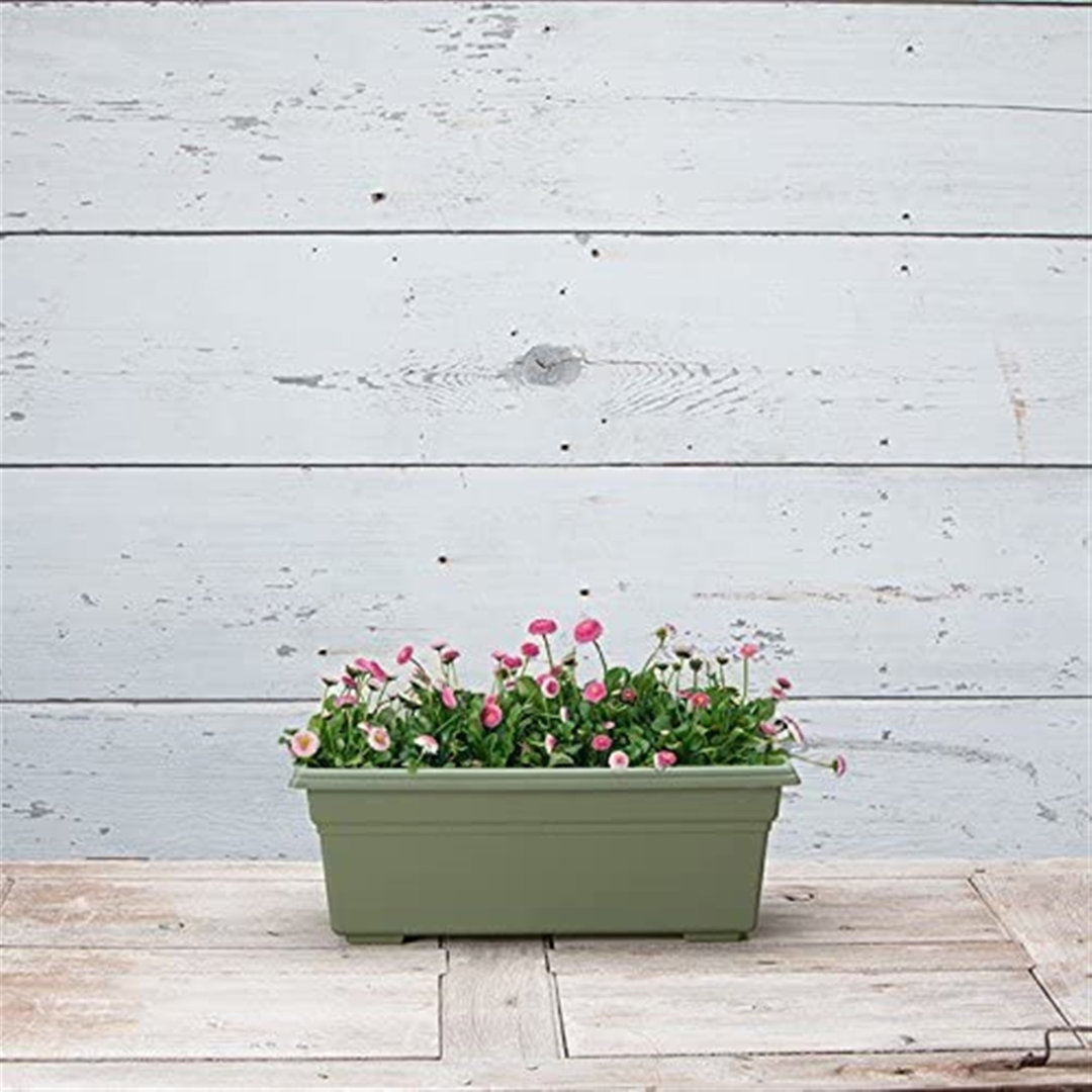 Plastic Planter Box Arlmont & Co. 