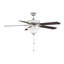Ventilateur de plafond standard à 5 pales 52 po avec chaîne de traction et ensemble d'éclairage inclus Garrett-20361276
