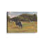 «Resting Cows I» par Stephen Calcasola, reproduction d'art sur toile-1796177008-1796177806-1796177021