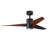 Ceiling Fan with LED Lights-1457522-82883355-5289484
