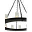 36 - Light Chandelier