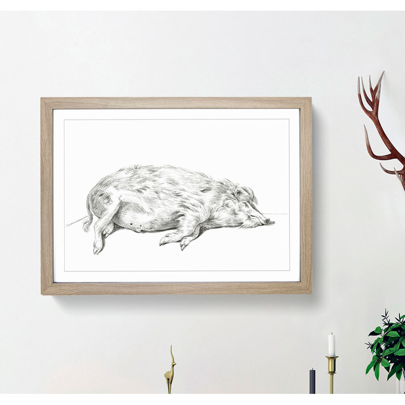 Lying Pig by Jean Bernard - Framed Print, 48cm H x 65cm W x 2cm D, Oak Framed