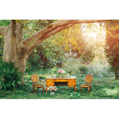 Outdoor Composition by Coffeeandmilk
