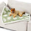 Couverture pour chien et chat Lesure-113472965-121249942