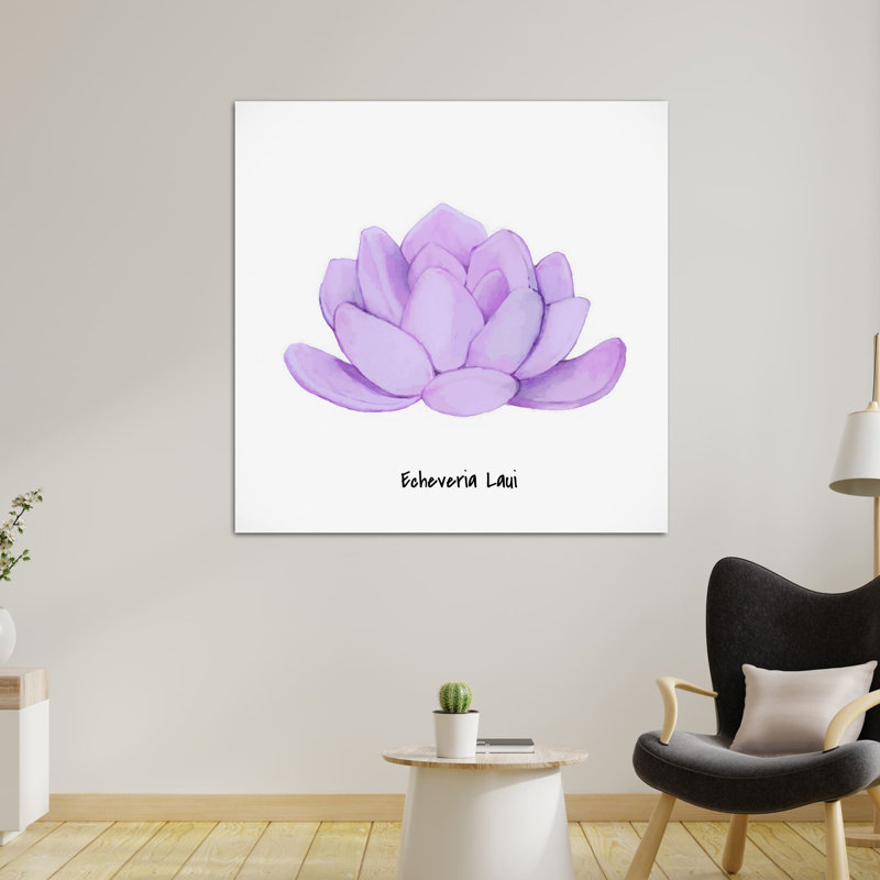 Echeveria Spruce Oliver - reproduction sur toile tendue, H 8 po x l 8 po x P 1,5 po