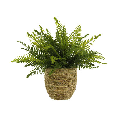 UV Rated Outdoor Boston Fern in Straw grass Wrapped Pot