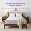Matelas hybride ferme 10 "/ 12" / 14 "- Wayfair-20292874-123514114
