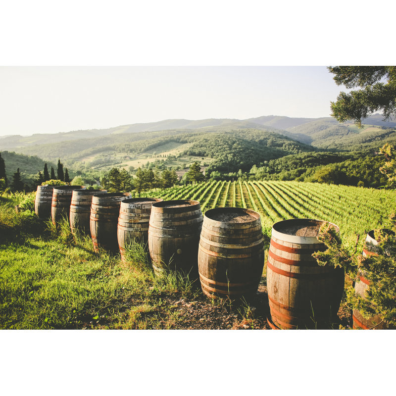 Vineyard, 81cm H x 122cm W x 3.8cm D