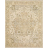 Odyssey Hand Knotted Wool Vintage Look Area Rug in Beige