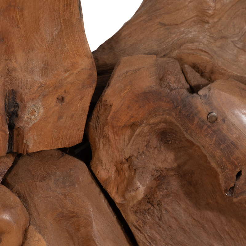 Sculpture de tête de cheval en bois Canonero, finition brune de 39 pouces pour le bureau à domicile, le salon, la décoration décontractée