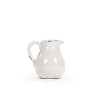 https://assets.wfcdn.com/im/55952626/resize-h310-w310%5Ecompr-r85/4598/45988775/decorative-pitcher.jpg