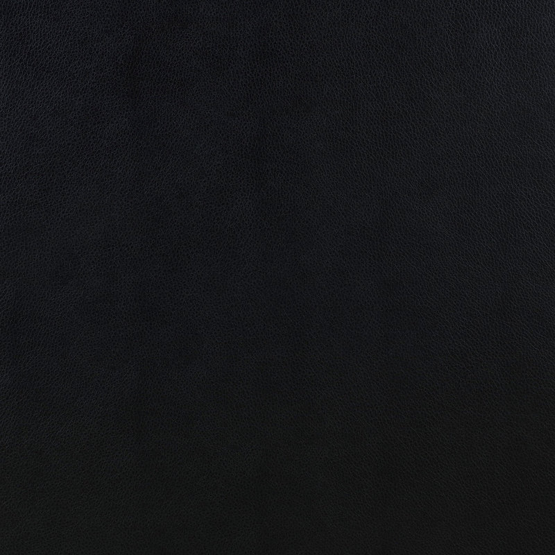 Fauteuil d'appoint rembourré Farallone, Noir