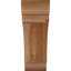 Attelle de genou olympique-31229617-31230593-29309935