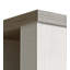 Nuzzo 212cm H x 114.4cm W Library Bookcase