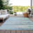  Machine Washable Indoor/Outdoor Chantille ACN996 Paprika Area Rug-533187798