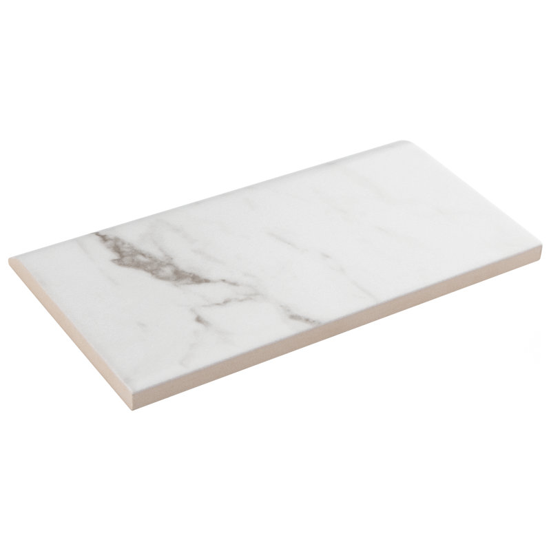 Classico Carrara 6" x 3" Matte Ceramic Bullnose Tile Trim in White/Gray