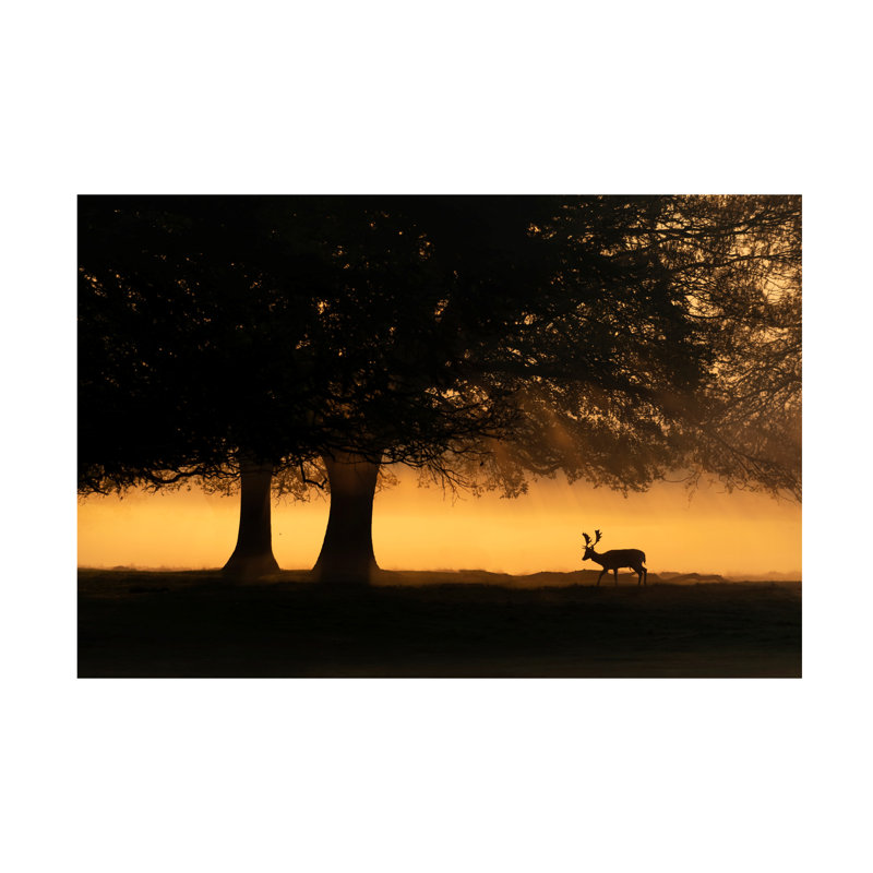 Art sur toile Radojica Jevric, H 12 po x l 19 po