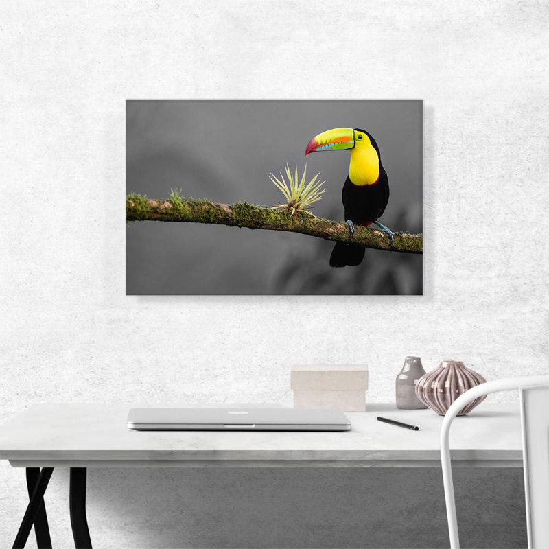 Toucan, oiseau, branche verte dans la forêt - reproduction de photo sur toile tendue, H 18 po x l 26 po x P 1,5 po