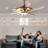 Asbey Ceiling Fan with LED Lights-1750344948