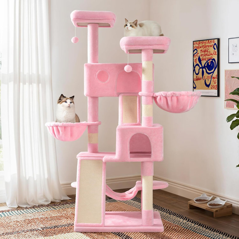 Condo 65 po plus grand avec tour d'arbre à chat pour chatons d'intérieur