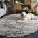 Rabia Shag 200 Performance Rug