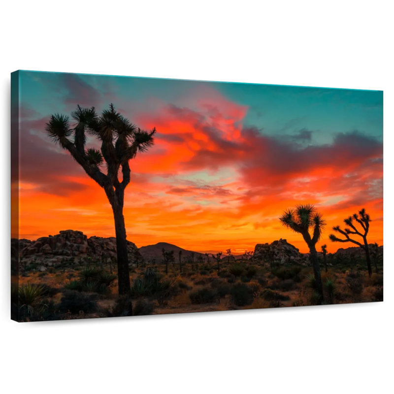 Palmiers Yucca Ravi Sunset, H 8 po x l 12 po