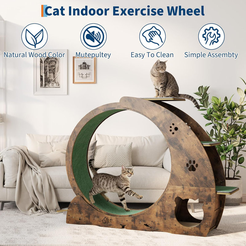 4-in-1 Indoor Cat Running Wheel, Large Quiet Running Wheel with Scratch Pad, Play Roller & Stable Wood Base for Active Cats
