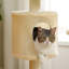 Tour d'escalade à plusieurs niveaux avec condo pour chat, arbre à chat avec planche à gratter-285491284