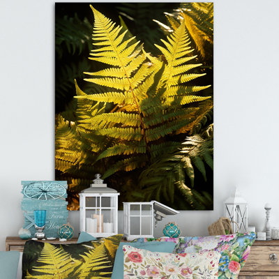 «Wonderland Ferns in Green World», reproduction sur toile