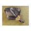 Sparkle Glass Placemat-1608621079