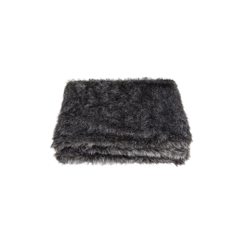 Gayla 250cm X 300cm Area Rug